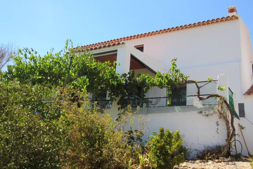 Cortijo "Era Grande 1" Villa Cordoba Exterior photo